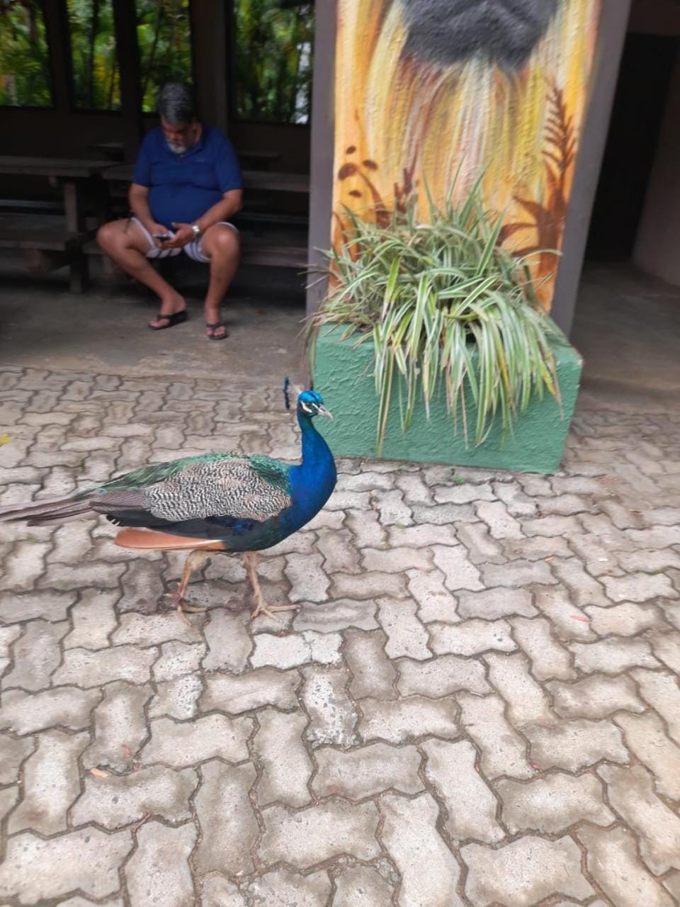 Ap Ondina Apartment in Salvador