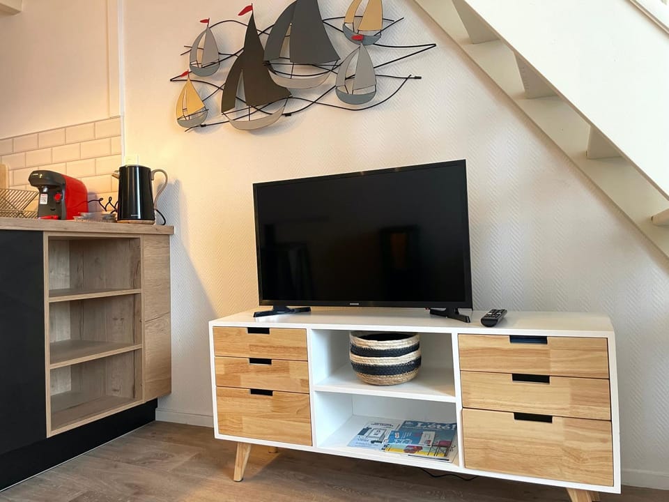 TV and multimedia