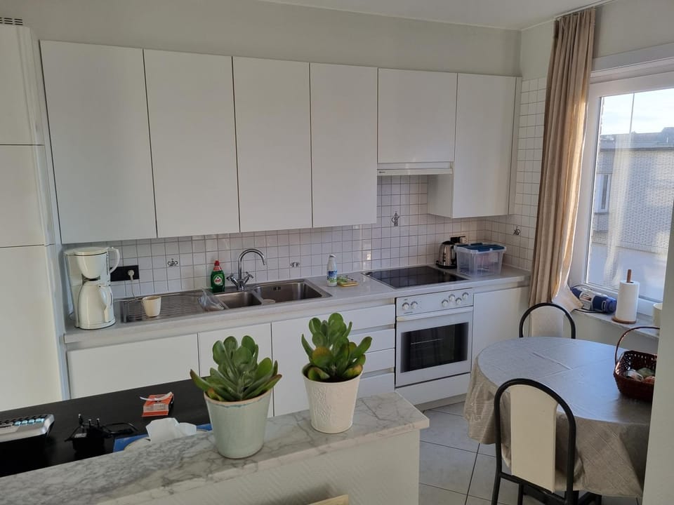 Kitchen or kitchenette, kitchen