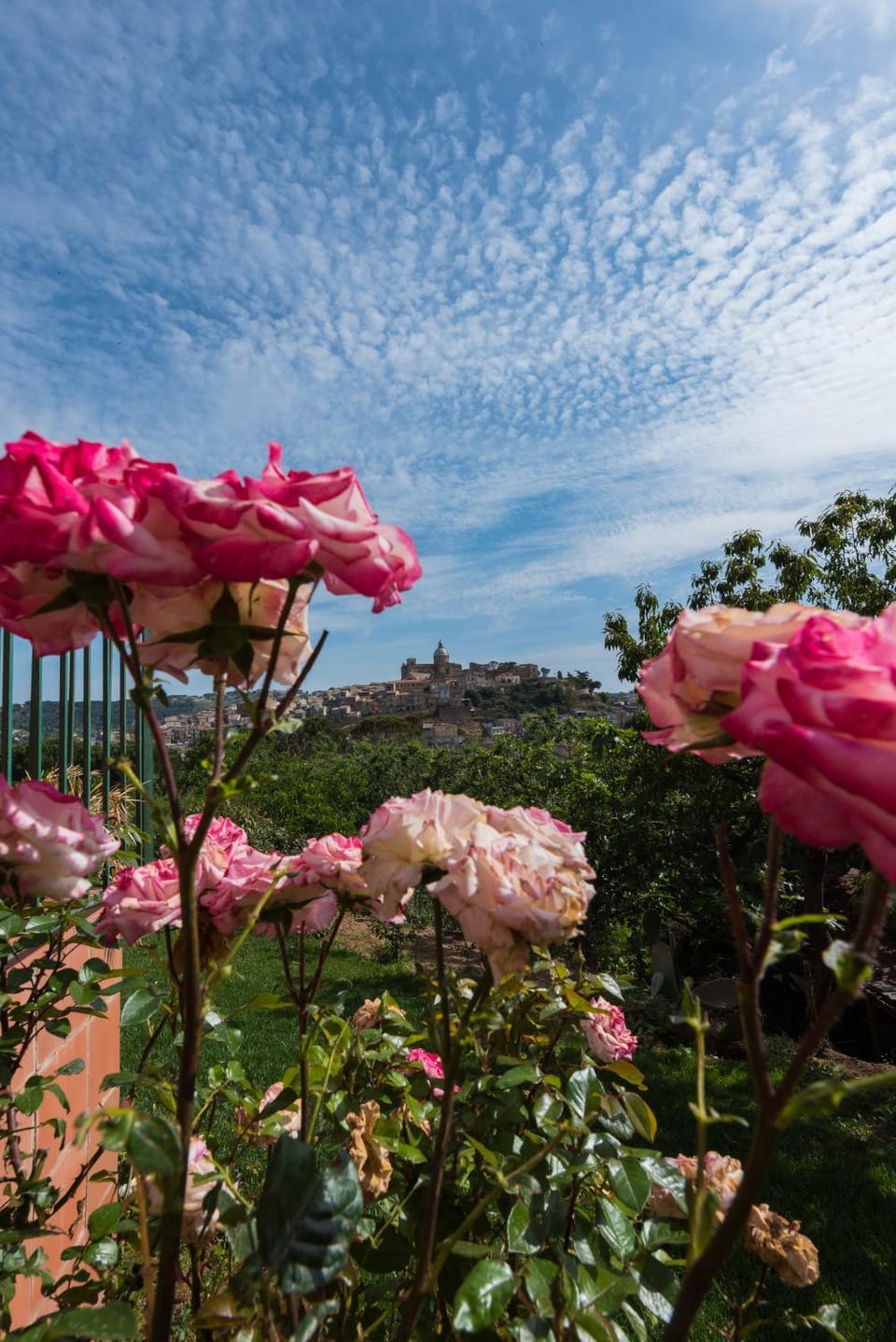City view, Garden view
