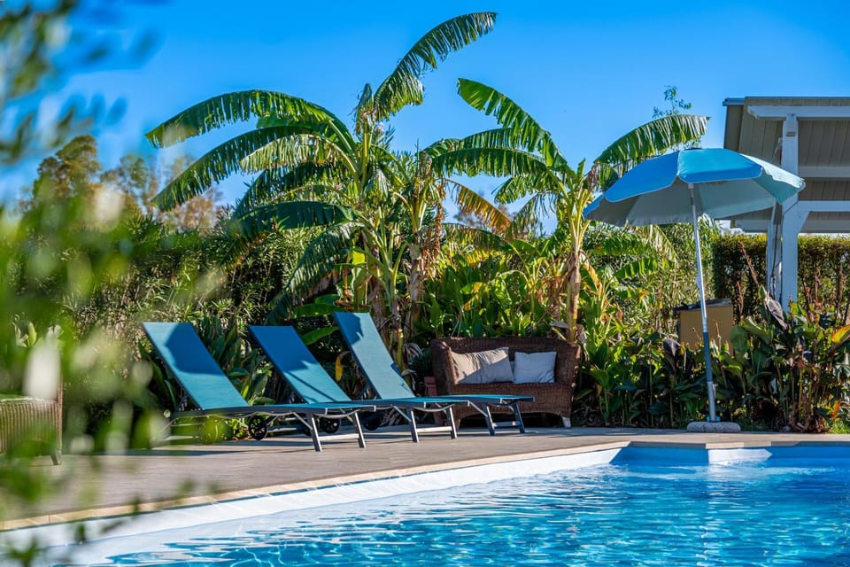 Garden, Swimming pool, sunbed