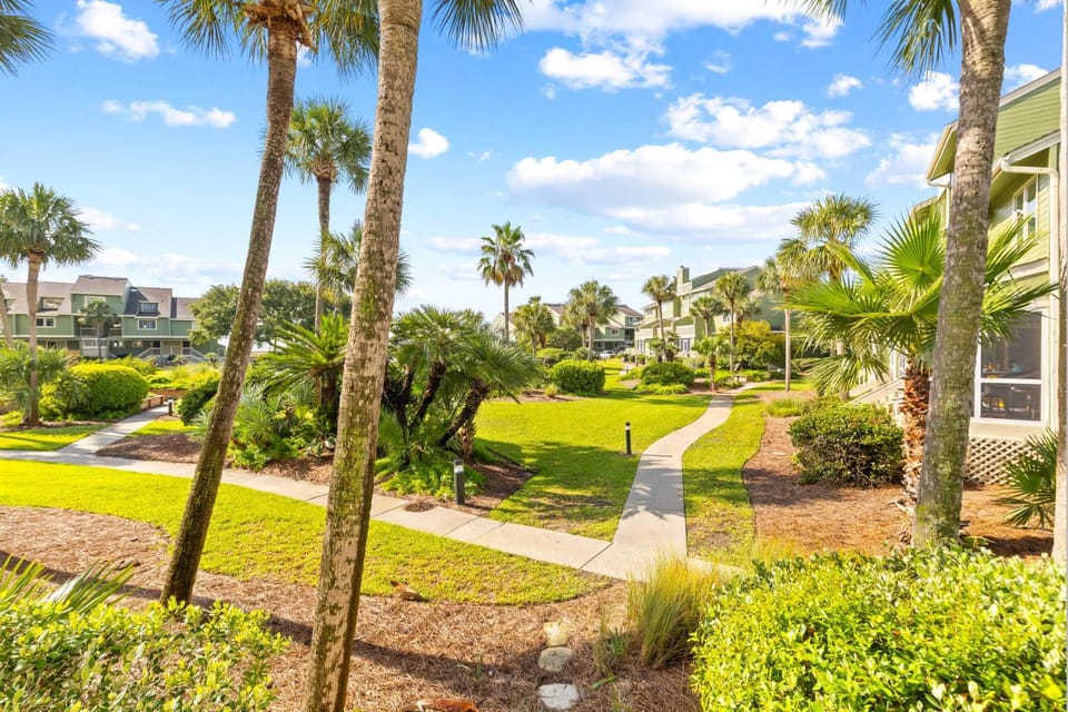 Day, Natural landscape, Garden, Garden view