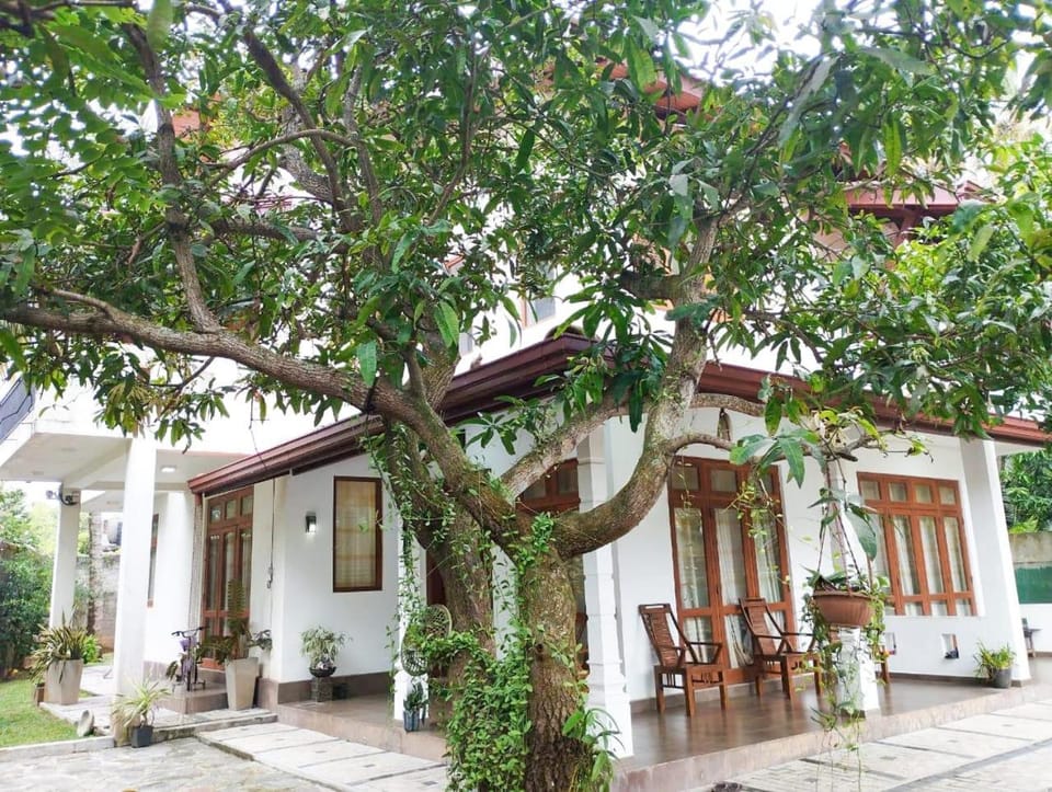 Property building, Garden