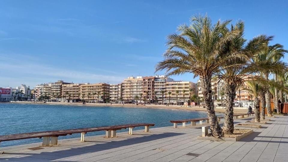 Activities, Beach, Area and facilities, Family