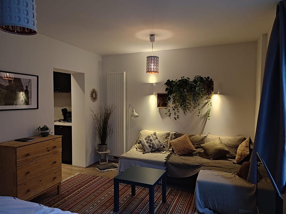 Dodo Guest House Bed and Breakfast in Brussels