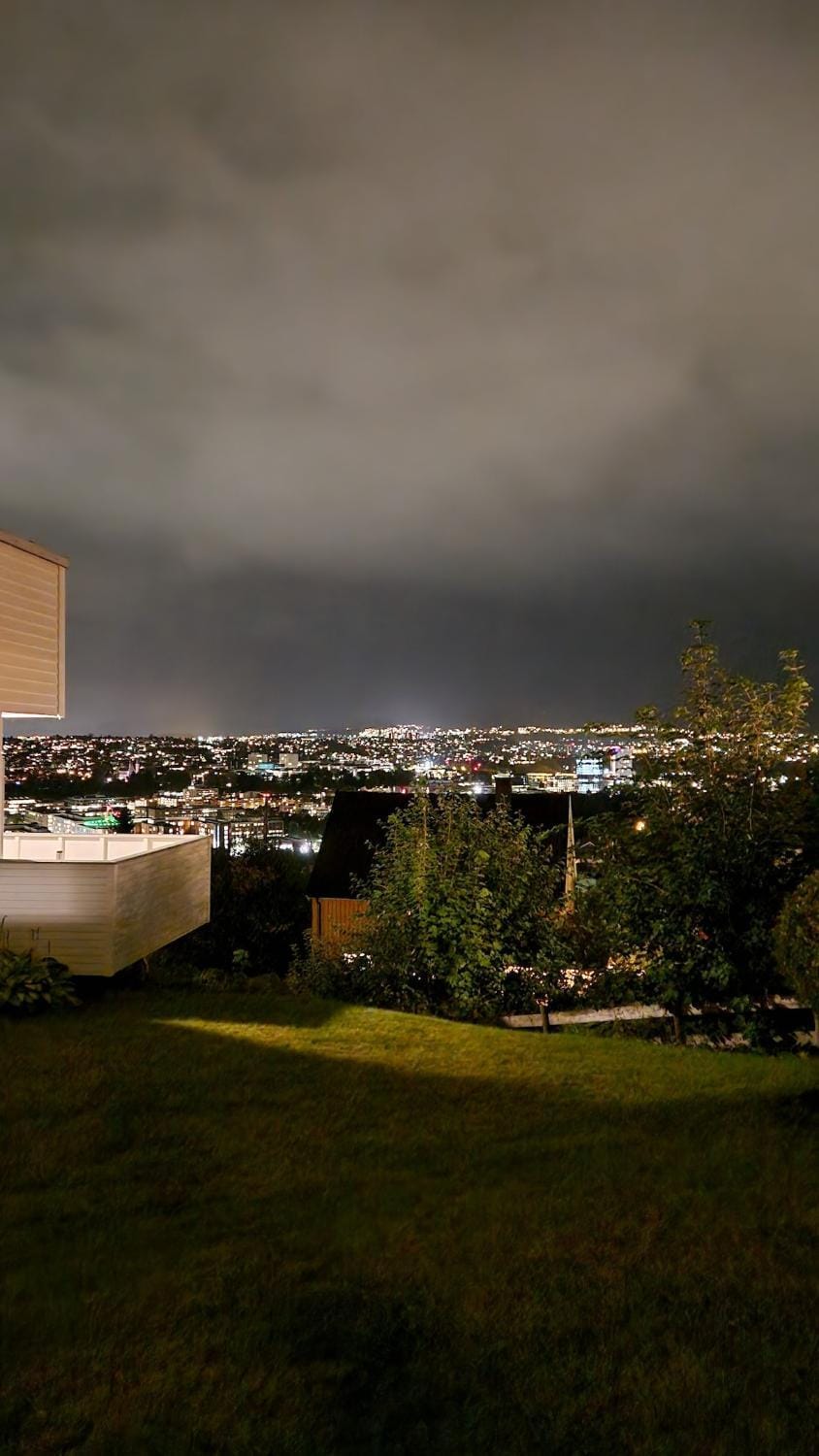 Garden, City view