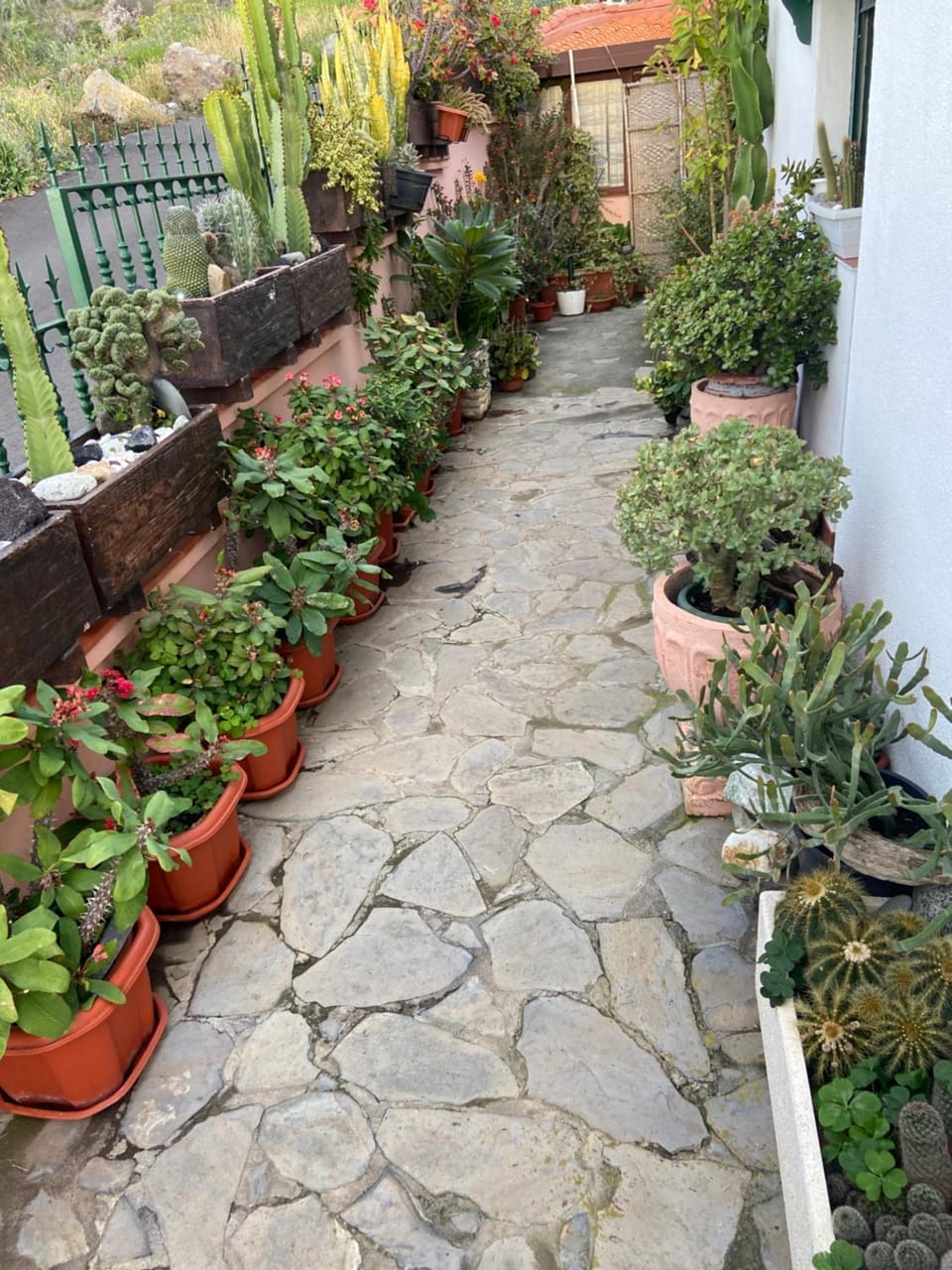 Casa Isabel House in La Palma
