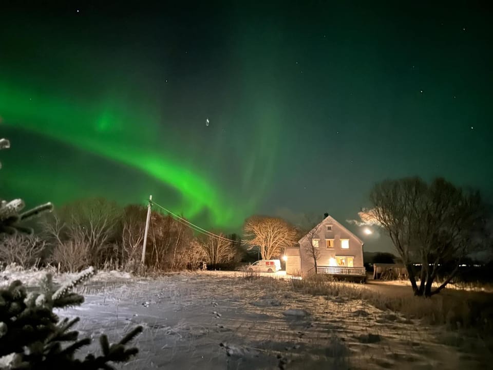 Property building, Night, Winter