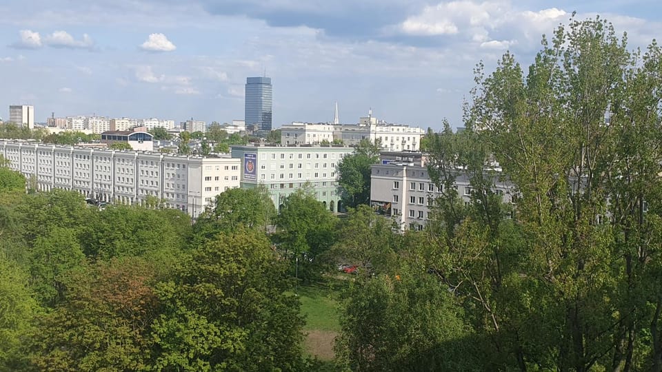 City view