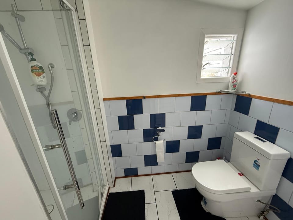 Shower, Toilet