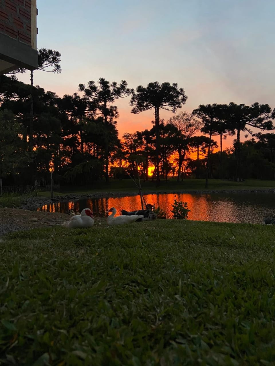 Natural landscape, Lake view, Sunset