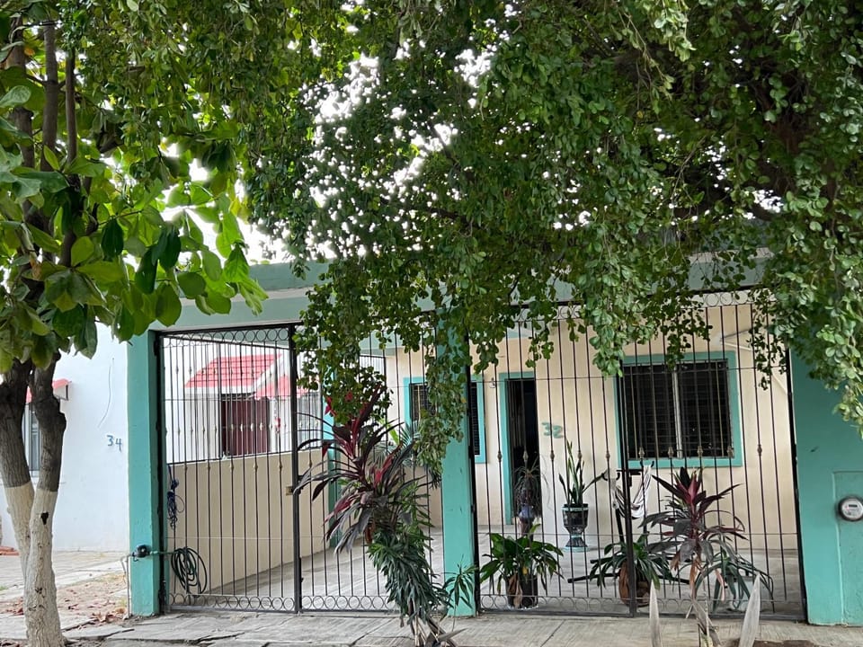 Property building, Day, Garden
