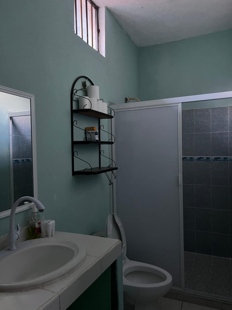 Shower, Toilet, Bathroom