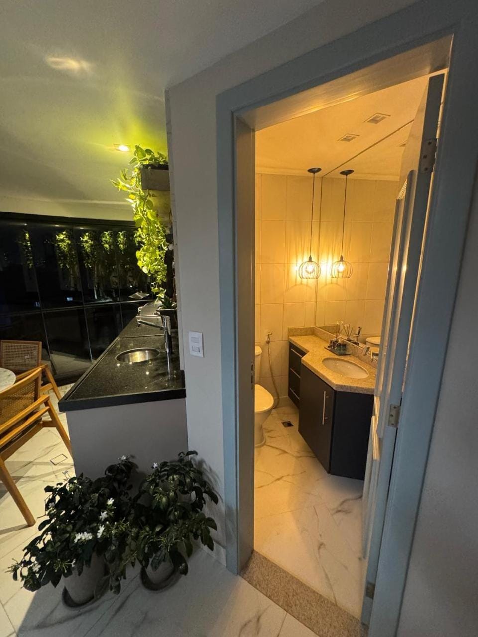 Bathroom, Living room