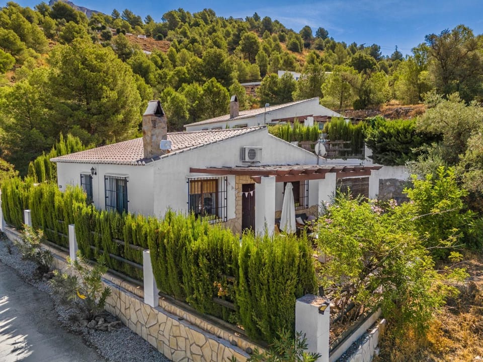 Property building, Natural landscape, Garden