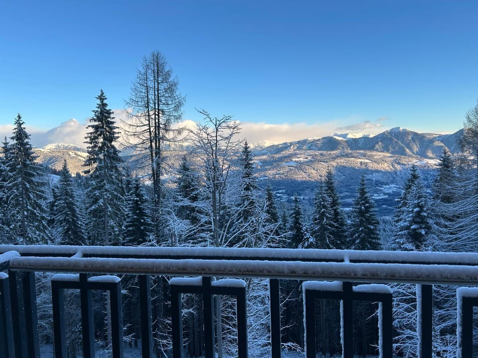 Natural landscape, Winter, View (from property/room), Balcony/Terrace, Mountain view