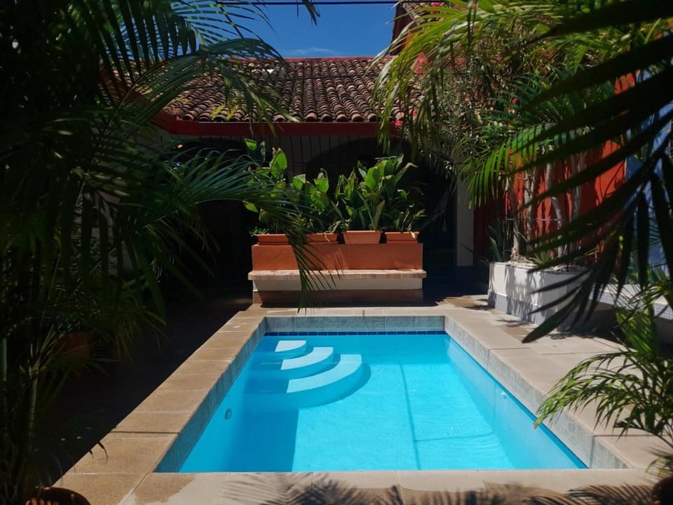 Patio, Garden, Pool view, Swimming pool