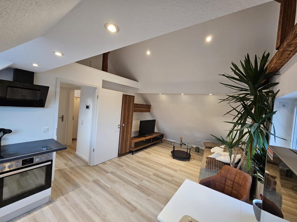 FeWo Salzböden - wohnen auf Zeit Apartment in Hesse