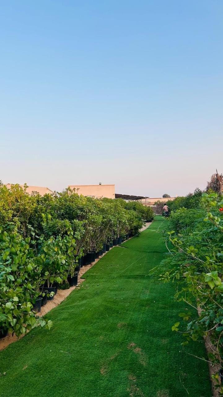 Gudham House in Ajman - United Arab Emirates