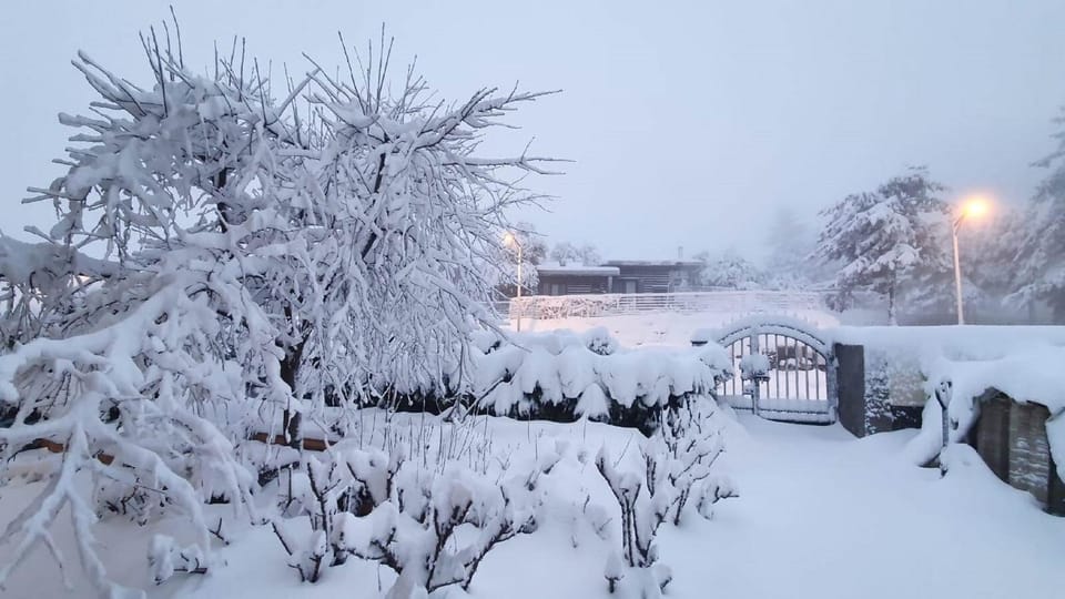 Winter