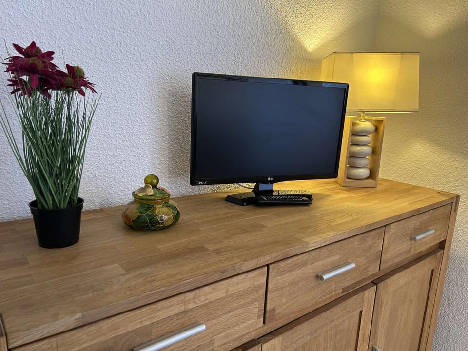 TV and multimedia