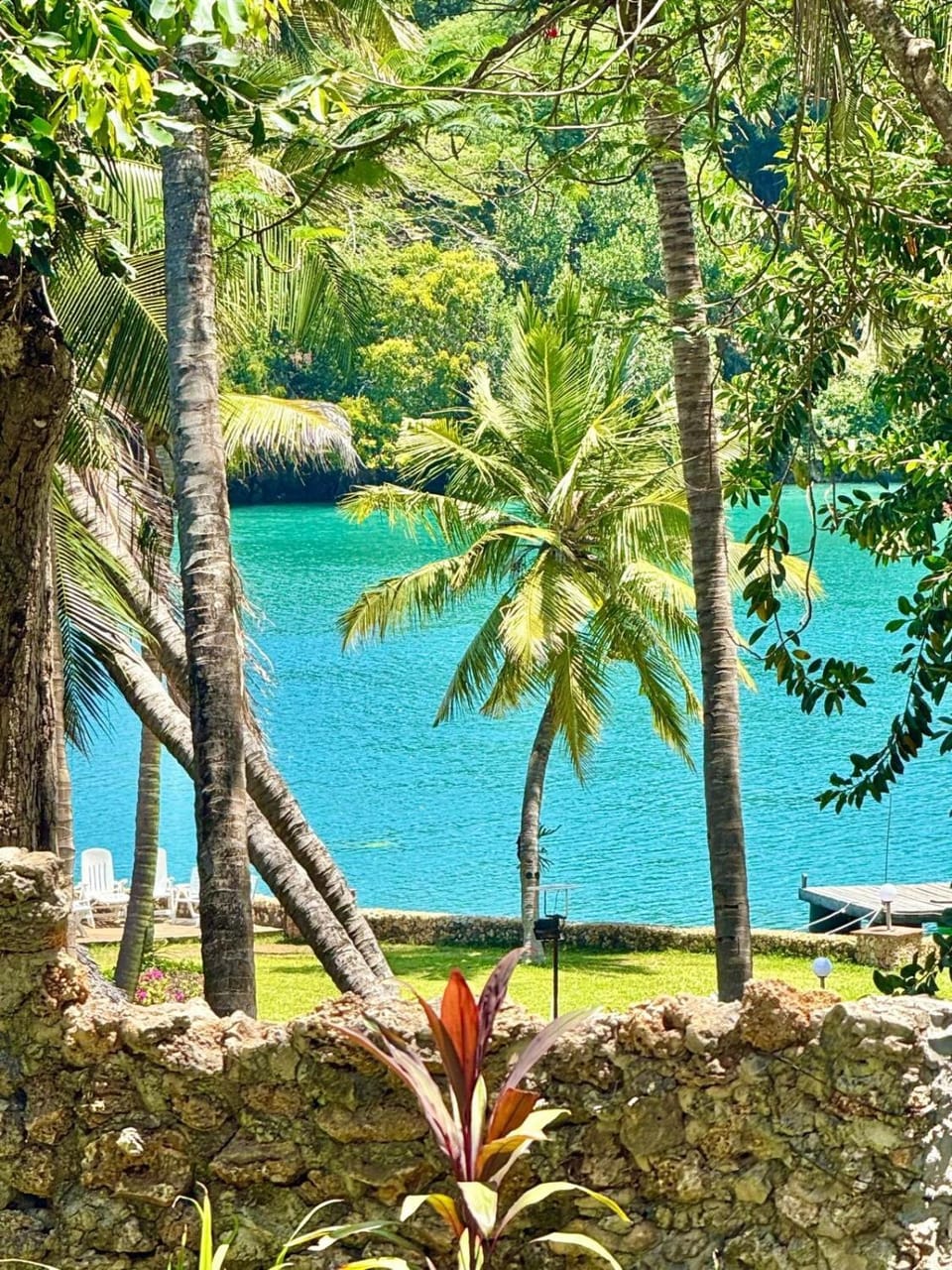 Day, Natural landscape, Garden, Garden view, River view