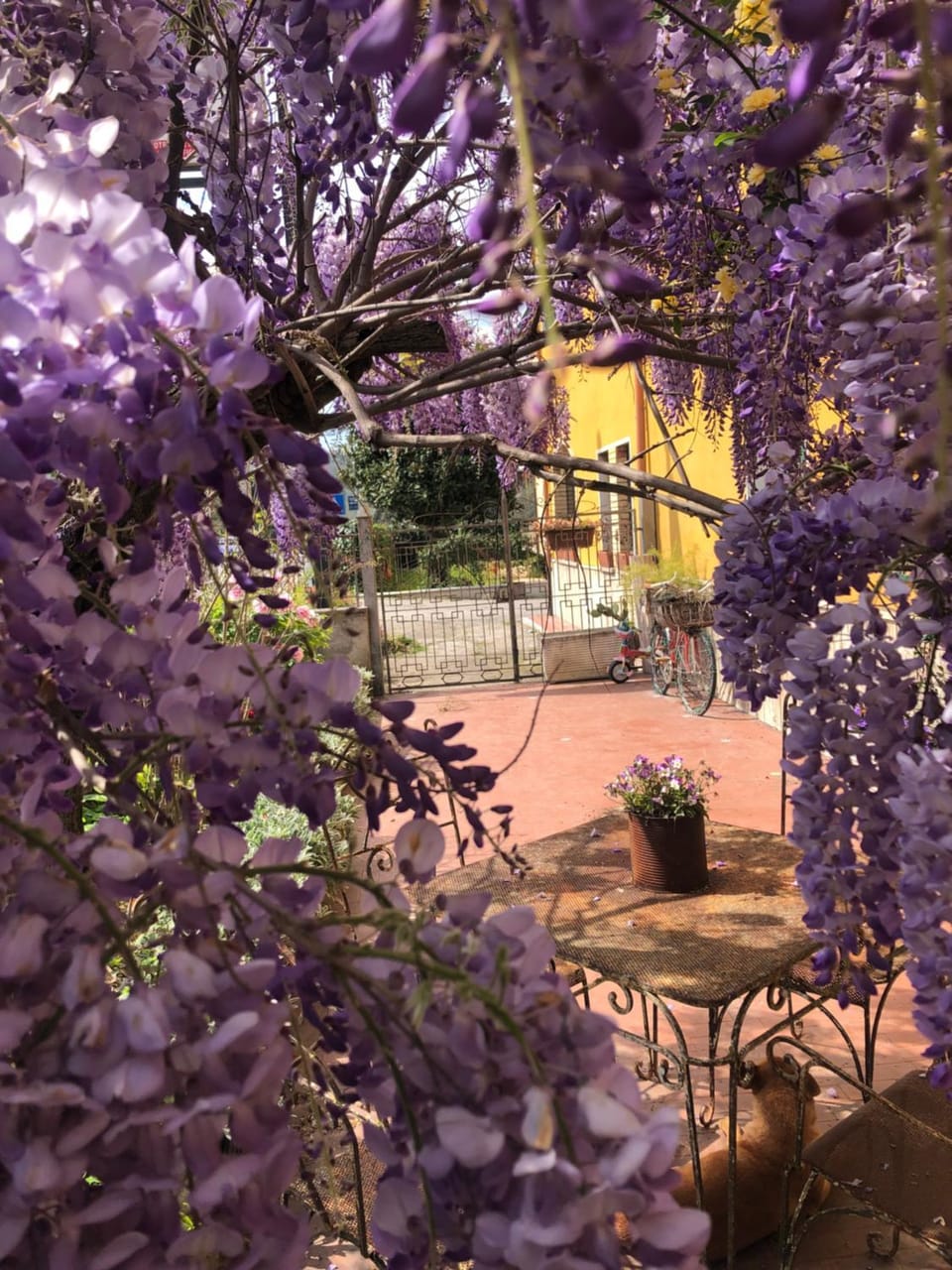 Il Lanificio airb&b Apartment in Lazio