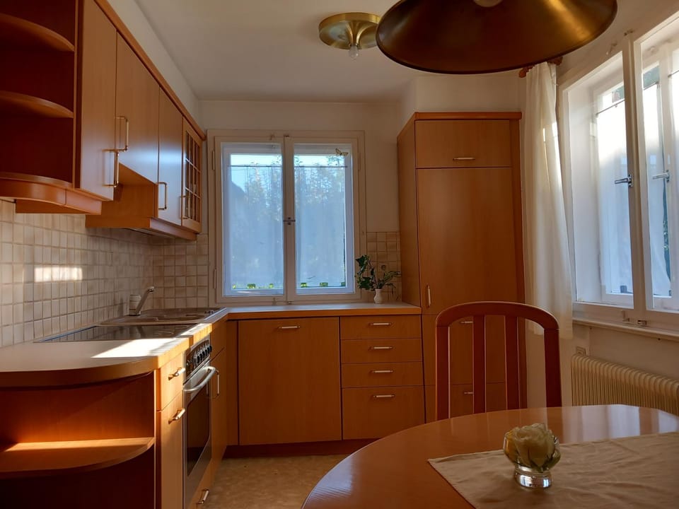 Kitchen or kitchenette, Dining area, stove