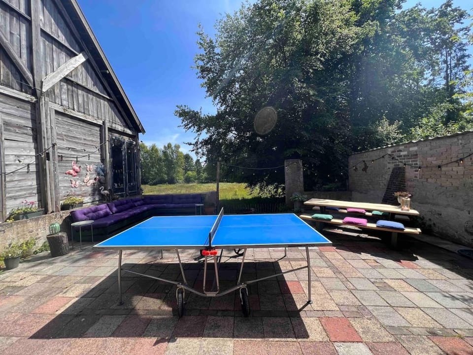 Patio, Table tennis