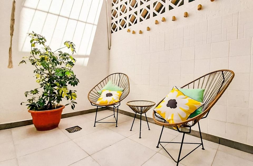 Patio, sunbed