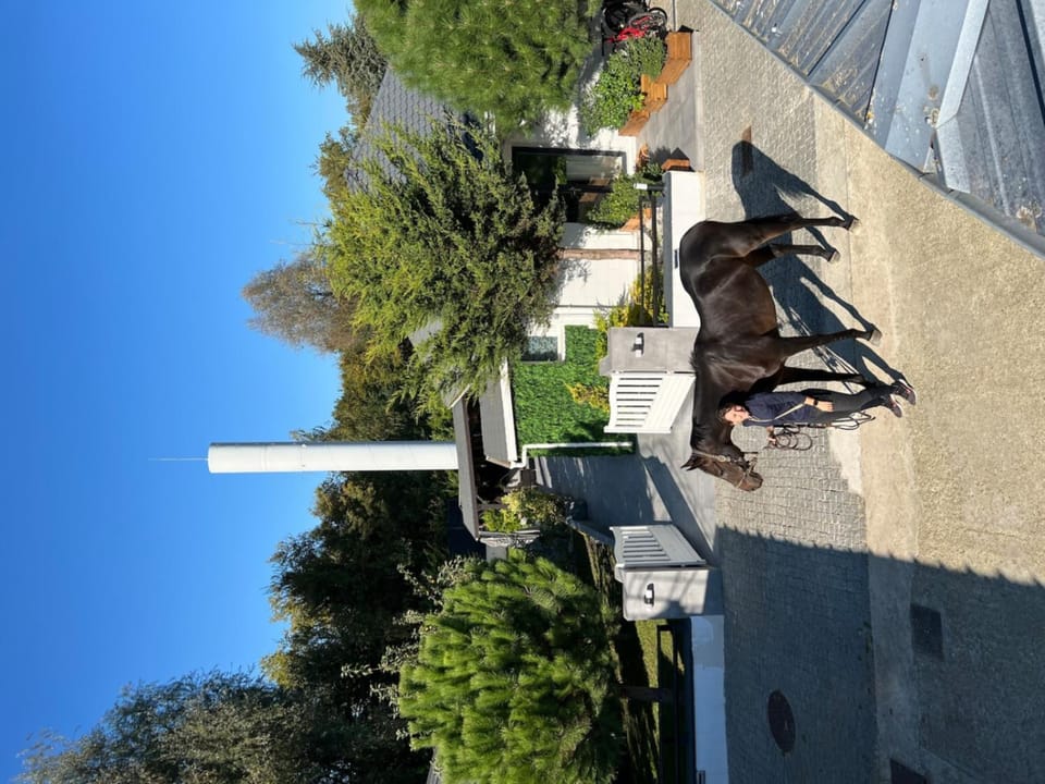 Horse-riding