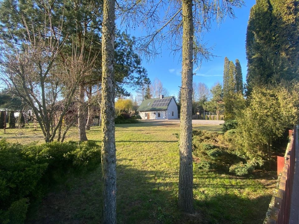 Spring, Day, Garden, Garden view