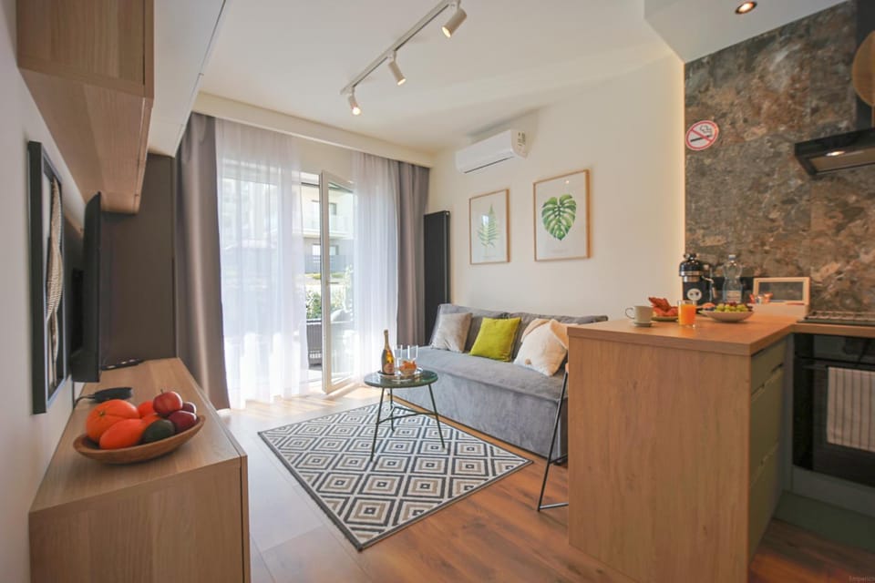 Balcony/Terrace, Living room, air conditioner