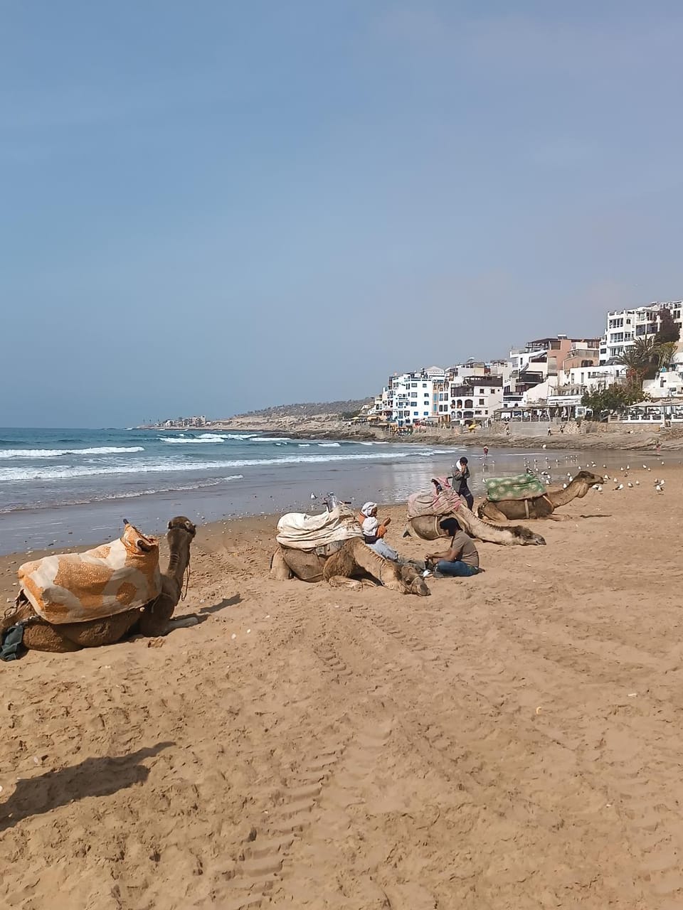 Future Apartment in Souss-Massa