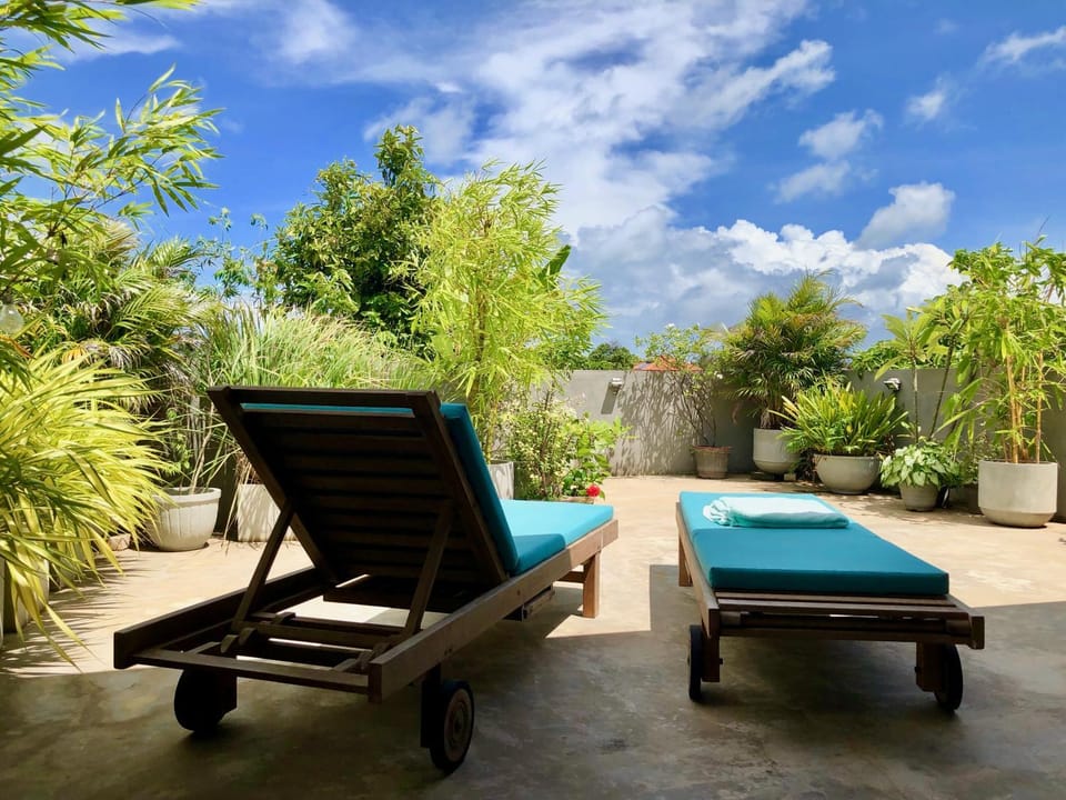 Balcony/Terrace, Garden view