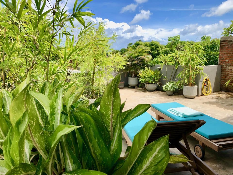Balcony/Terrace, Garden view