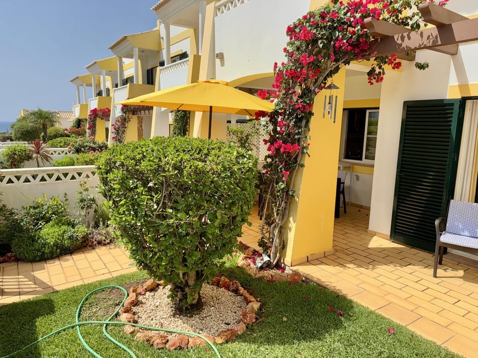 Patio, Garden, Garden view