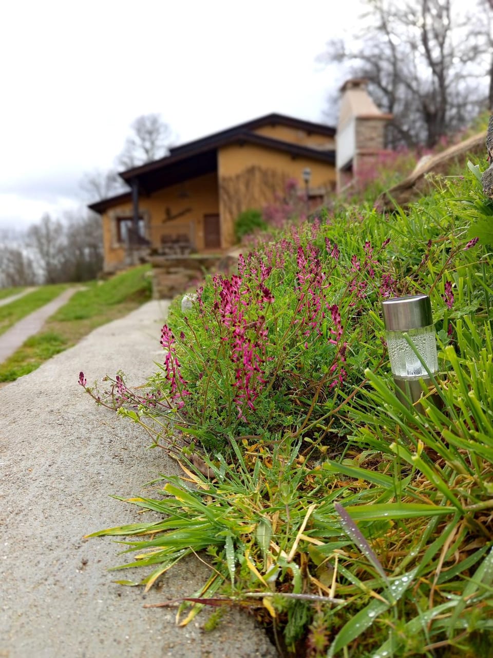 Estrella del alba Chalet in Senabria