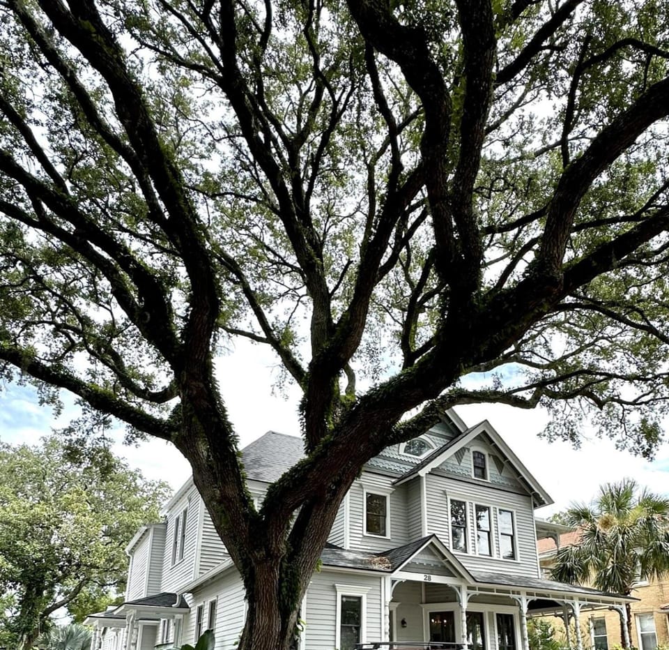 Grand Oak - Renovated 1891 Queen Anne - Quarter Mi Stroll to Historic DT - Beach only 3 Mi House in Saint Augustine