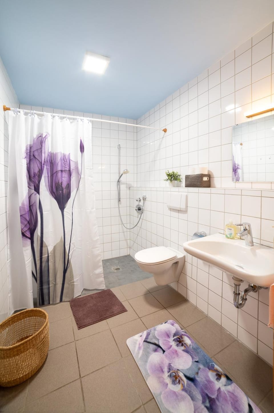 Bathroom, Living room