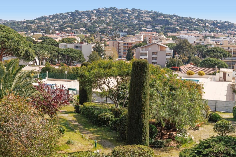 Neighbourhood, Garden, City view