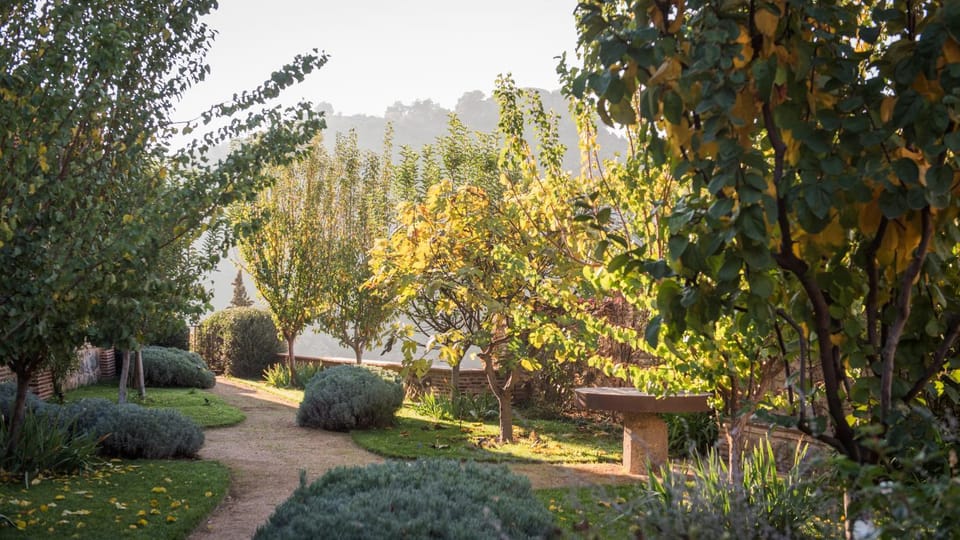 Nearby landmark, Spring, Natural landscape, Garden, Garden view