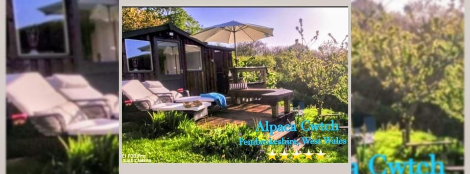 Property building, Patio, Day, Garden, Garden, Seating area, Garden view, sunbed