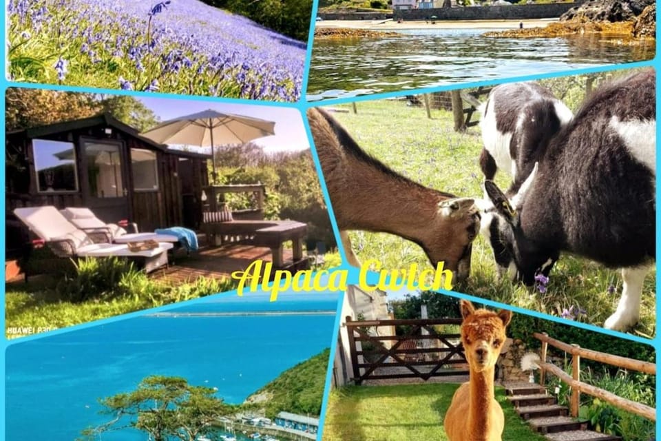 Property building, Nearby landmark, Animals, Garden view, Area and facilities