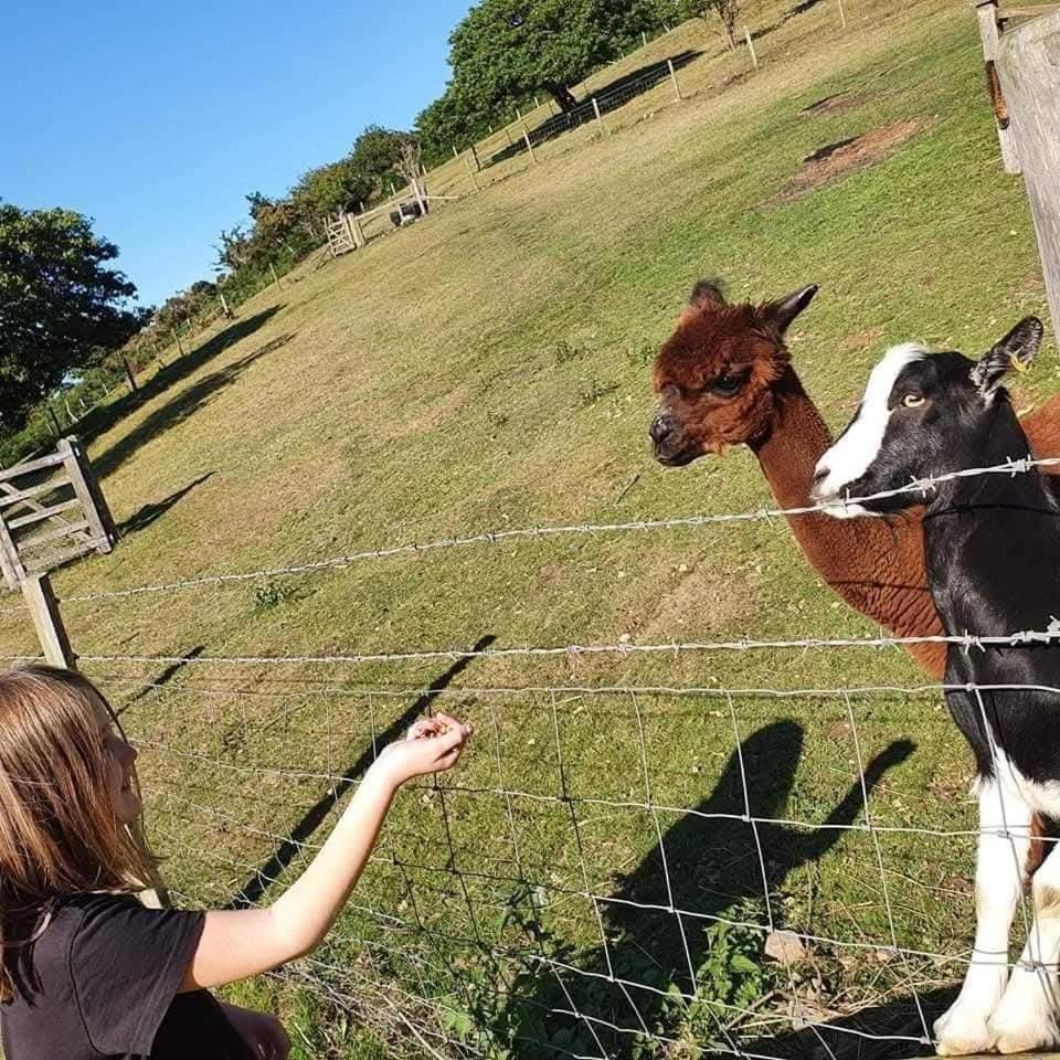 View (from property/room), Garden view