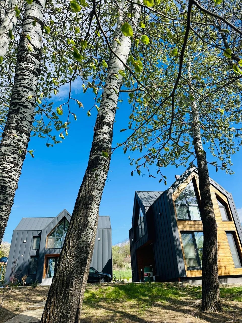 EcoTravel New Villa in Romania