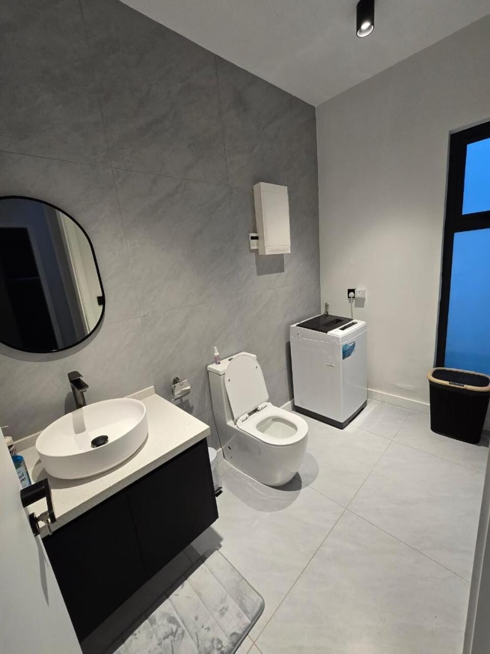 Toilet, Bathroom, washing machine