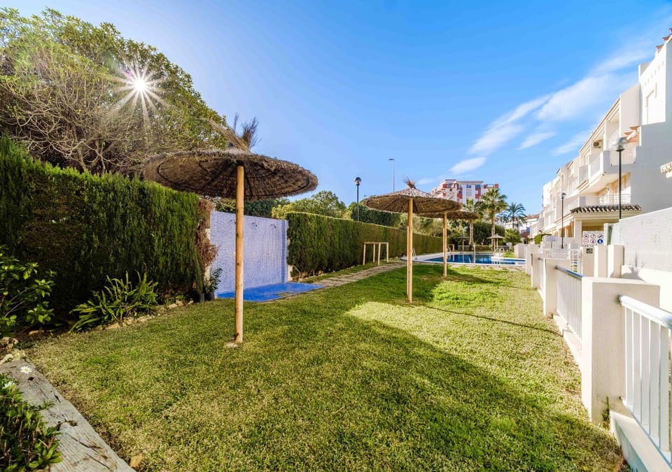 Patio, Garden, Garden view