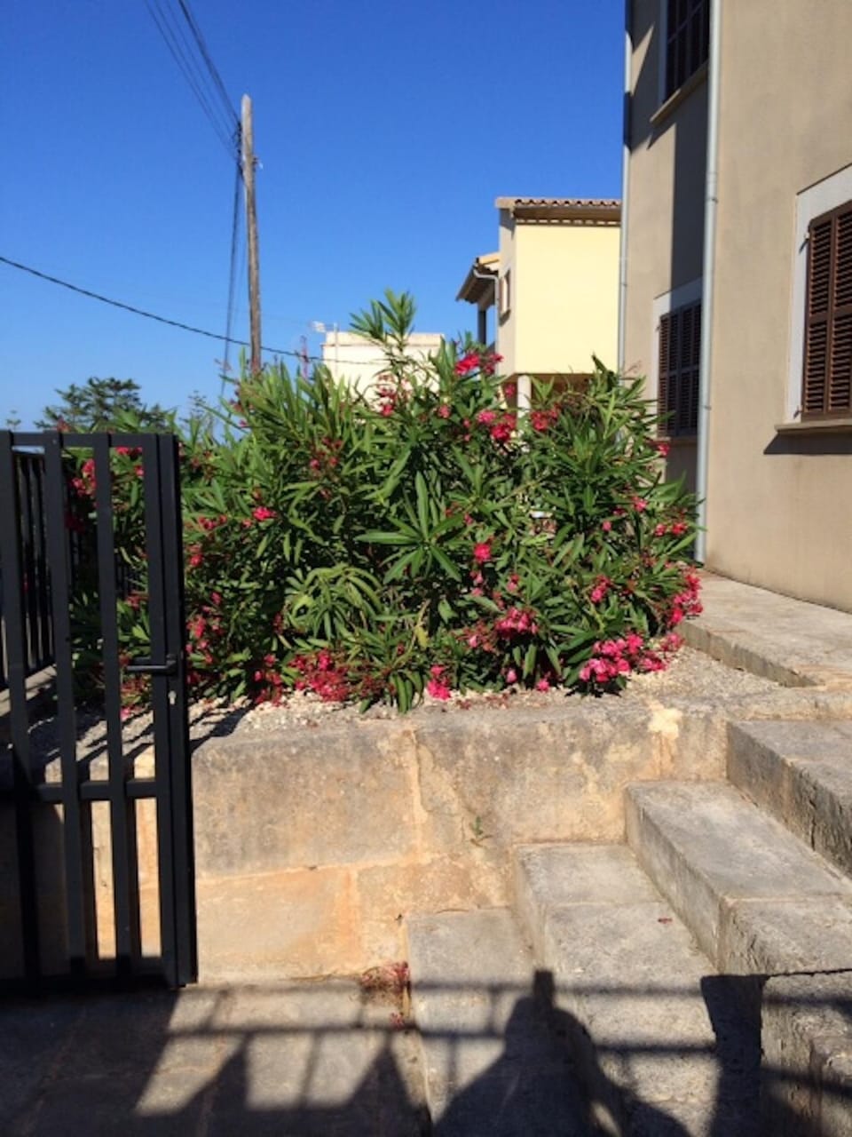 Facade/entrance, Garden
