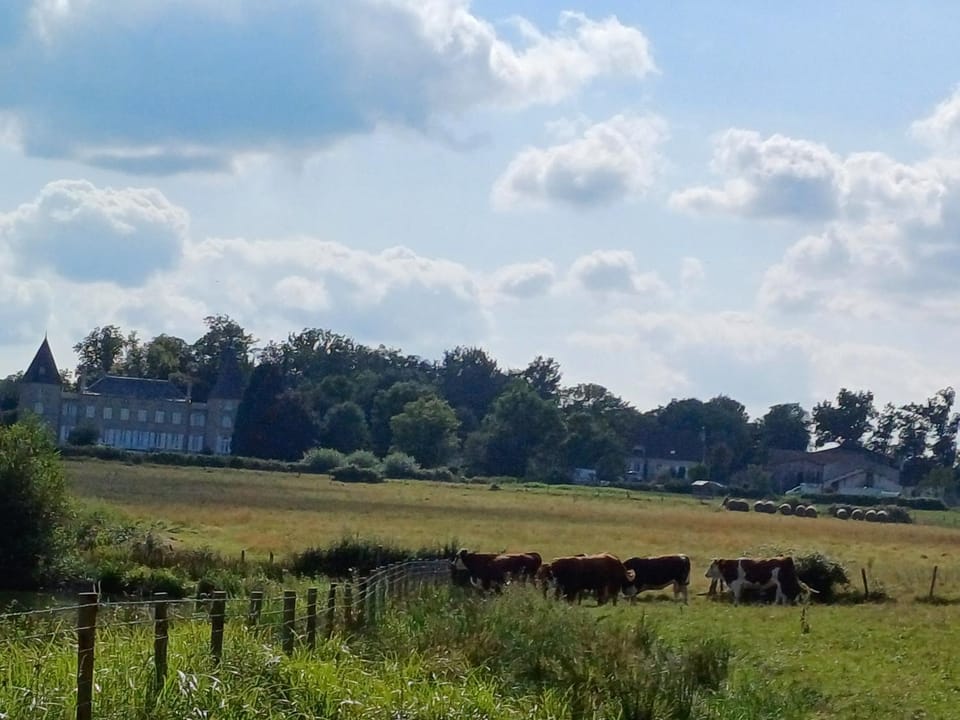 grande maison à la ferme House in Bourgogne-Franche-Comté